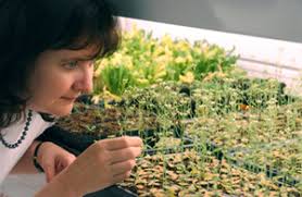 The University of Chicago Magazine: August 2003