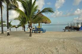 We did not find results for: Kingskamp Rv Park And Marina Key Largo Fl Foto S En Reviews Tripadvisor