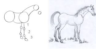Use these how to draw images related to horse to enhance your drawing skills for free. Horse Drawing Made Fun And Simple Step By Step
