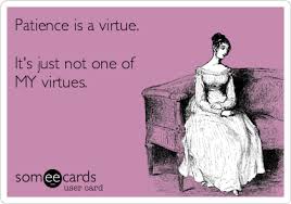 Pin By Vanessa Cano On My Board Patience Quotes Funny Confessions Virtue Quotes