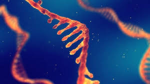 Maybe you would like to learn more about one of these? Strand Therapeutics Mrna Logic Circuits Enhance Gene Therapy S Safety Ease And Controllability Biospace