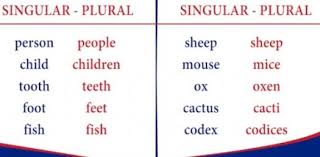 The spines of a cactus can also be used to determine the age of a cactus. Singular Plural Nouns Quiz Test Proprofs Quiz