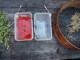 .rote erdbeere samen erbstück super japan erdbeere garten samen 1309 rezensionen. Samengewinnung Aus Dem Eigenen Garten Saatgut Workshop Auf Dem Dottenfelder Hof Frankfurter Beete