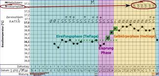 24 bis 36 stunden bis zum eisprung. Gv 2 Tage Vor Eisprung Kaschiatabpenf