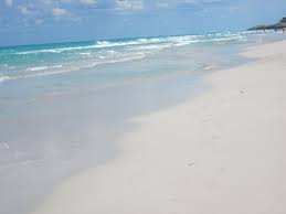 Καλώς ήρθατε στο be live adults only los cactus! Transat Cadeaux De Bienvenue Picture Of Be Live Adults Only Los Cactus Cuba Tripadvisor
