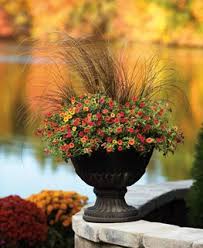 Check spelling or type a new query. 21 Fall Planter Ideas Container Garden Pictures Plants Tips Garden Design