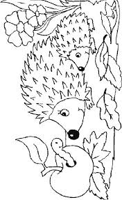 Ausmalbild Igeln Igeln Igel Ausmalbild Malvorlagen Tiere Ausmalen