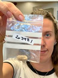 Posts with replies by Alma Kotevski (@AlmaKotevski)