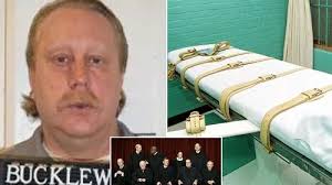 Toddler brothers both drown in garden pool