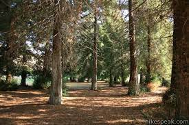 We did not find results for: Redwood Grove Trail Carbon Canyon Regional Park Hikespeak Com Nature Trail Coastal Redwood Redwood
