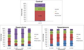 Image result for Ptycholobium contortum