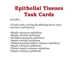 Epithelial Tissue Task Cards Task Cards Tissue Types This Or That Questions