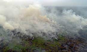 Stres tak bila kita tak bakar hutan, tapi terpaksa sedut asap dari negara sebelah yang. Indonesia Perlu Ambil Iktibar Henti Punca Jerebu