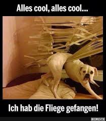 Ein bild sagt mehr als tausend worte. Alles Cool Alles Cool Lustige Bilder Spruche Witze Echt Lustig