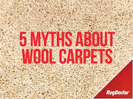 Maybe you would like to learn more about one of these? 5 Myths About Cleaning Wool Carpets Rug Doctor