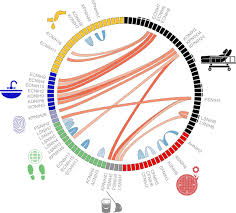 (1) at least one certified lifeguard for every 4,000 square feet of water surface area, plus one certified lifeguard for any fraction thereof, equal to or greater than 1,000 square feet, shall be on duty at the waterside at all times the recreational swimming establishment is open to use by bathers for general swim purposes. Genomic Analysis Of Hospital Plumbing Reveals Diverse Reservoir Of Bacterial Plasmids Conferring Carbapenem Resistance Mbio