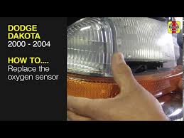 Image result for Light Driftwood 2000 Dakota