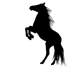 Cheval Illustrations Et Vecteurs Libres De Droits Stocklib Avantage des images libres de droits. illustrations et vecteurs libres