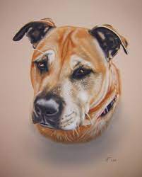 Sie möchten ihren hund malen oder zeichnen lassen? Tierportraits Nach Fotovorlage Tiermaler Tierzeichner