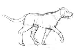 Start off with a pencil sketch. Simple Dog Walking Drawing Novocom Top