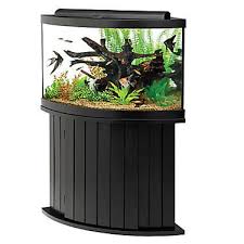 Aqueon 54 Gallon Aquarium Ensemble Fish Aquariums Petsmart Corner Aquarium Aquarium Fish Tank