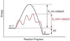What Creates Business Value Kinetic Value Vs Potential Value Investment Bank Reaction Rate Chemical Equations Chemistry Chemical Kinetics