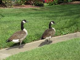 Maybe you would like to learn more about one of these? Pekin Park District 2021 All You Need To Know Before You Go With Photos Tripadvisor