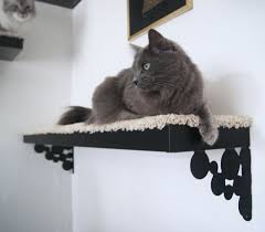 Kletterwand Fur Katzen Selber Bauen Anleitung Ikea Regale Metall Cat Design Ideas Katzen Kletterwand Katzen Wandregale Katzen Wand