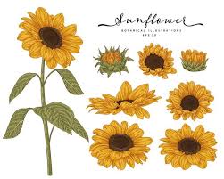 Download 151 embroidery sunflower stock illustrations, vectors & clipart for free or amazingly low rates! Premium Vector Embroidery Bouquet Of Sunflowers