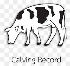 Cow Gif Transparent Clipart 3189860 Pinclipart They are a prominent modern member of the subfamily bovinae, are the most widespread species of the genus. cow gif transparent clipart 3189860