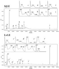 Image result for Sorindeia juglandifolia