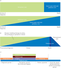 Hospice care is for patients ending care, palliative care is for ongoing serious illness. The Lung Cancer Patient The Pneumologist And Palliative Care A Developing Alliance European Respiratory Society