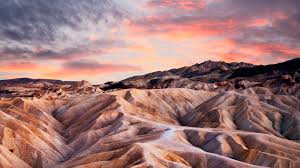 Rare rainstorms bring vast fields of wildflowers. Death Valley National Parks Conservation Association
