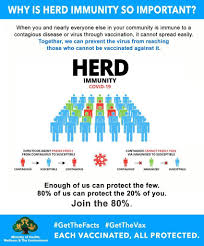 This system, linked to a specific operating system, includes medical staff in isolation, fever and chest hospitals in its first stage. Infographic Vaccination Program Roll Out