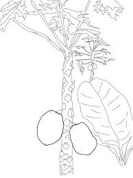 All we ask is that you recommend our content to friends and family and share your masterpieces on your website, social media profile, or blog! Coloring Pages Coloring Pages Mango Printable For Kids Adults Free To Download