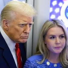 Bald eagle drops cat onto moving car in North Carolina