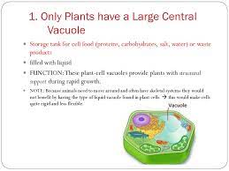 Maybe you would like to learn more about one of these? Animal Vs Plant Cells Biology Ppt Download