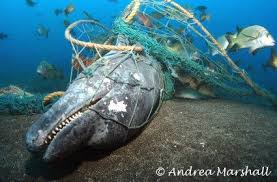 Pin On Stop Using Plastic