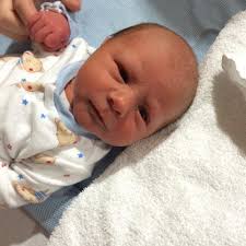 Elaine Dick (@elaine635)