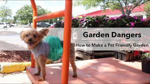 We did not find results for: Common Garden Dangers For Dogs Bluepearl Pet Hospital