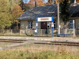 Sobibor is based on the history of the sobibór extermination camp uprising during wwii and soviet officer alexander pechersky. Sobibor