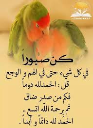 Pin By Danyal Alhassan On الحمد الله Bird Arabic Quotes Parrot
