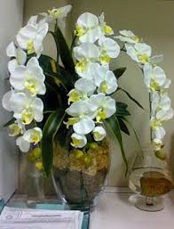 Dengan cara mencabuli tubuh clara seperti meremas payudara atau mencubit pantat. 220 Gubahan Bunga Ideas Flower Arrangements Floral Arrangements Beautiful Flowers