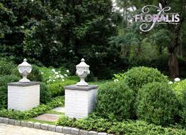 Front Entry Garden Garden Topiary Outdoor Decor