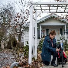 Instead, our system considers things like how recent a review is and if the reviewer bought the item on amazon. Tips On Finding Housesitters To Keep Pets Homes Secure The Spokesman Review