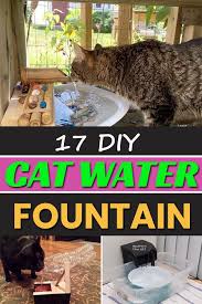 17 Diy Cat Water Fountain Bebek