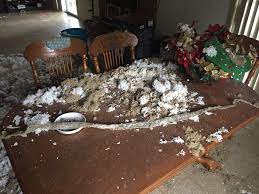 See full list on wikihow.com Had A Customer Find One Snake Skin In Their House So The Next Logical Step Was To Tear Five Holes In Their Ceiling Funny