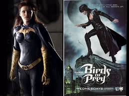 Birds Of Prey Tv Series Batgirl How To Make An Interesting Art Piece Using Tree Branches Ehow Wonder Woman Batman Universe Birds Of Prey