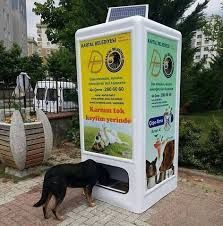 Istanbul Turkey Automatic Feeding Of Food And Water For Stray Dogs In Turkey Worthy Of Emulation And Respect S Izobrazheniyami Domashnie Pitomcy Zhivotnye Kozy