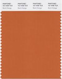 Some of dulux's top colours order online as a. Pantone Smart 16 1448x Color Swatch Card Burnt Orange House Paint Amazon Com